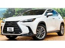 2023 Lexus NX