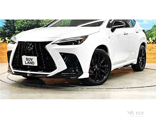 2023 Lexus NX