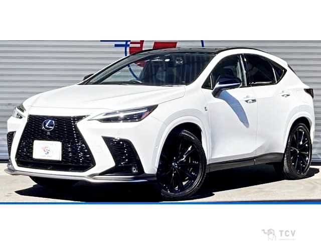 2023 Lexus NX