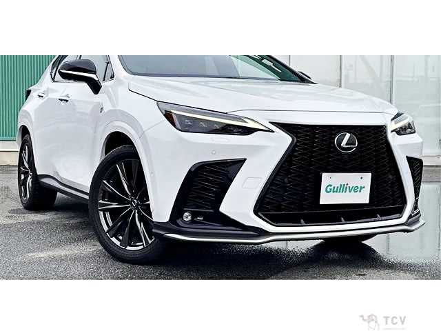 2023 Lexus NX