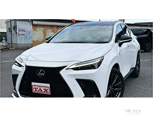 2023 Lexus NX