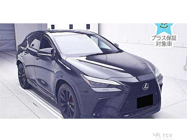 2023 Lexus NX