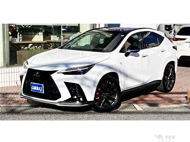 2023 Lexus NX