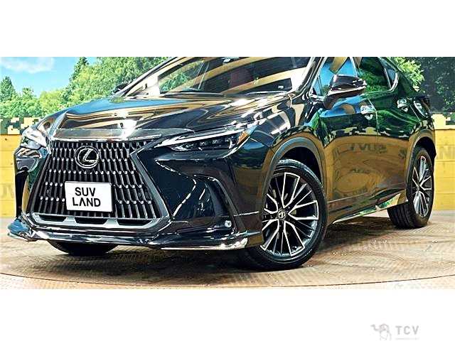 2023 Lexus NX
