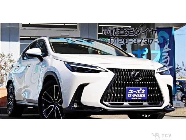 2023 Lexus NX