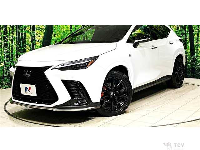 2023 Lexus NX