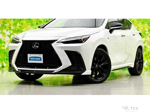 2023 Lexus NX