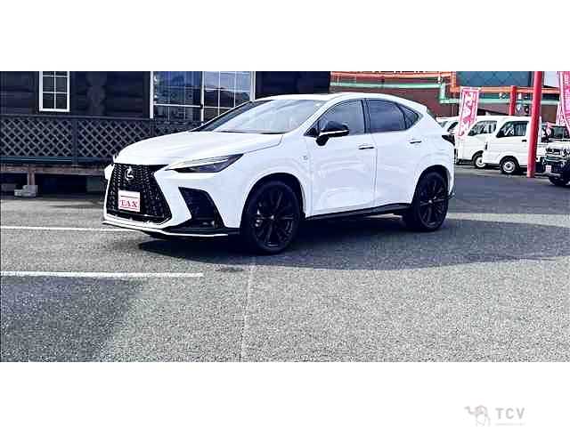 2023 Lexus NX