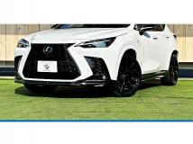 2023 Lexus NX