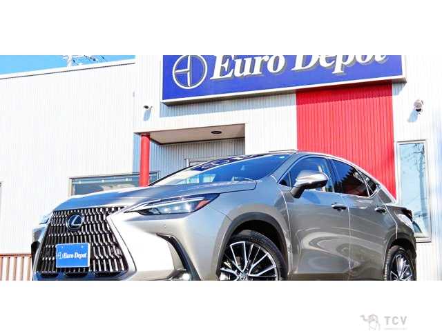 2023 Lexus NX
