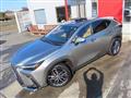 2023 Lexus NX