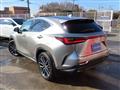 2023 Lexus NX