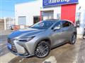 2023 Lexus NX