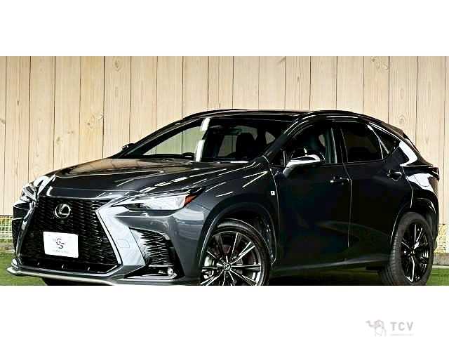 2023 Lexus NX