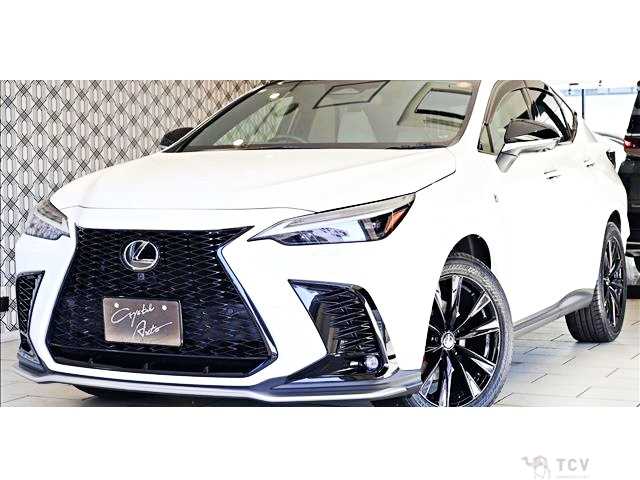 2023 Lexus NX