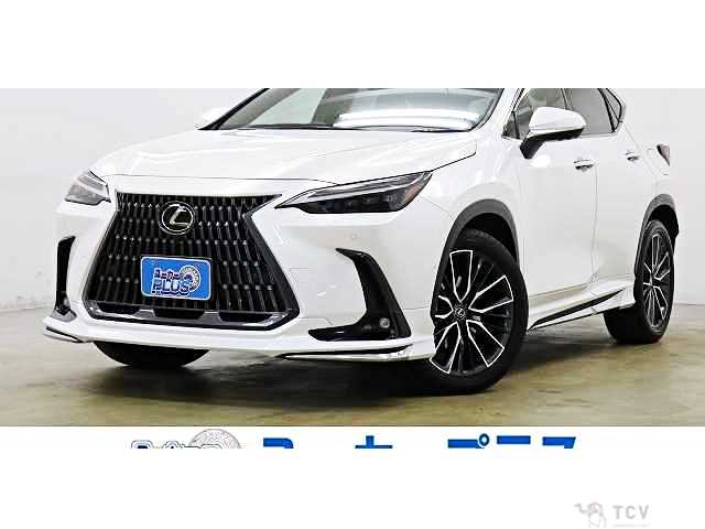 2023 Lexus NX