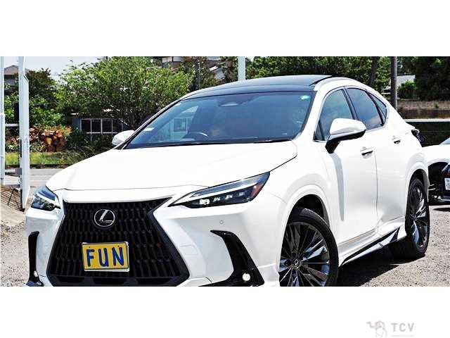 2023 Lexus NX