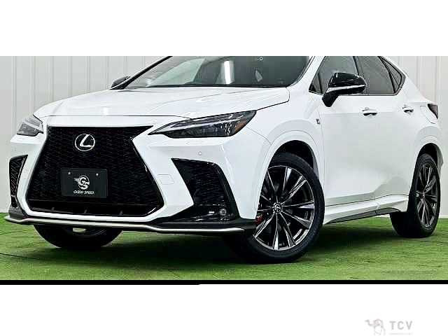 2023 Lexus NX