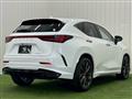 2023 Lexus NX