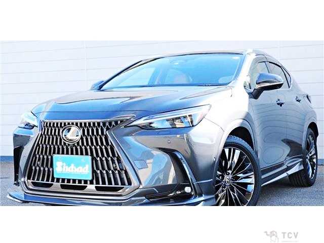 2023 Lexus NX
