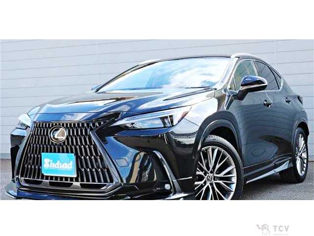 2023 Lexus NX