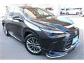 2023 Lexus NX