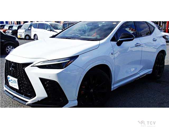 2023 Lexus NX
