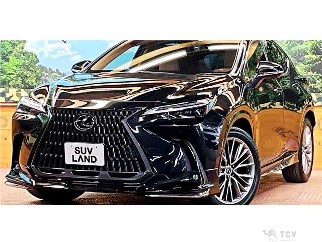 2023 Lexus NX