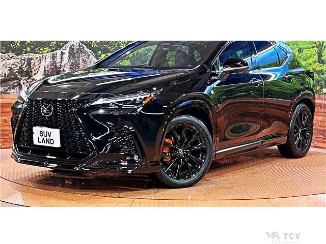 2023 Lexus NX