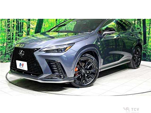 2023 Lexus NX