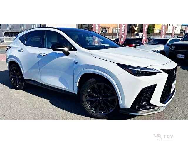 2023 Lexus NX