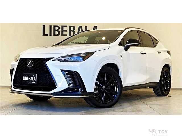 2023 Lexus NX