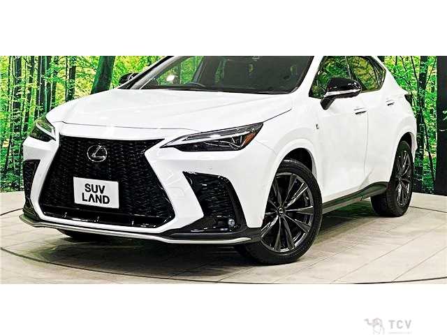 2023 Lexus NX