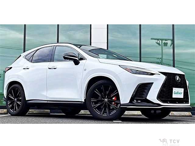 2023 Lexus NX
