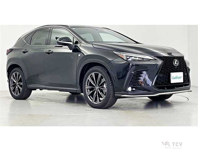 2023 Lexus NX