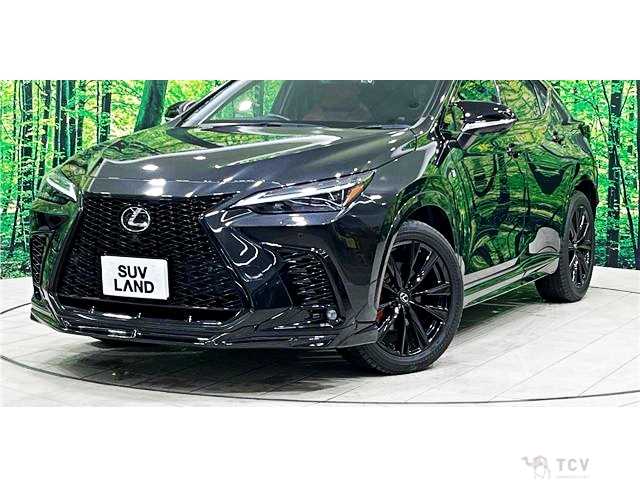 2023 Lexus NX