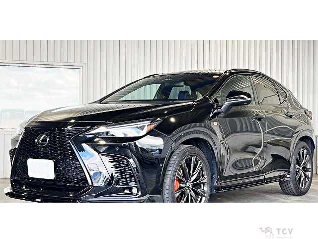2023 Lexus NX