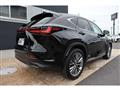 2023 Lexus NX