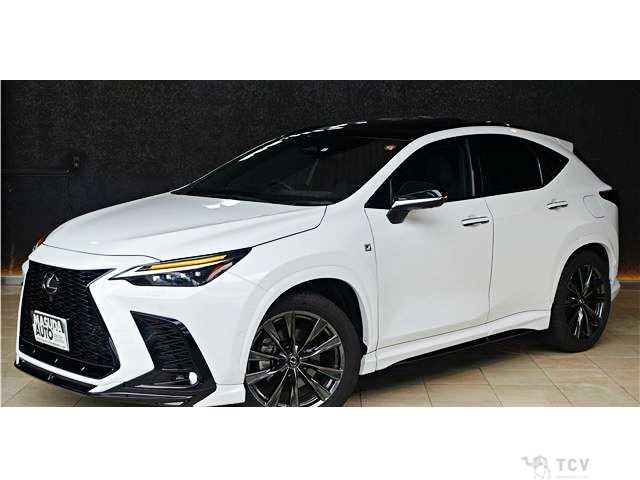 2023 Lexus NX