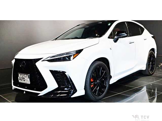 2023 Lexus NX