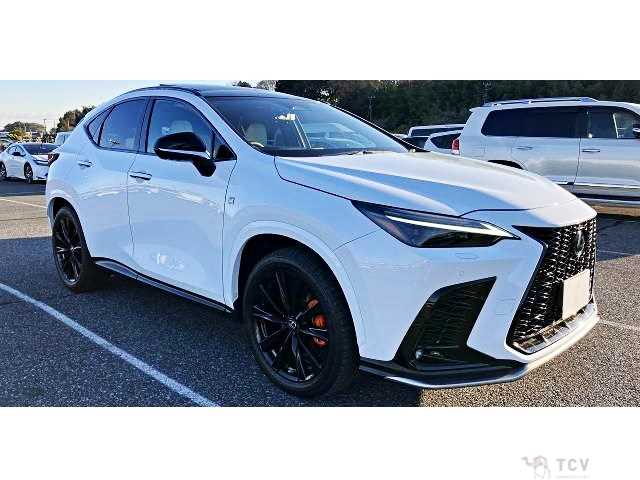 2023 Lexus NX