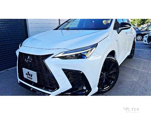 2023 Lexus NX