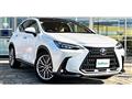 2022 Lexus NX