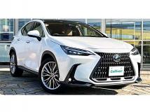 2022 Lexus NX