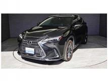 2022 Lexus NX