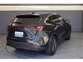 2022 Lexus NX