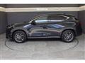 2022 Lexus NX