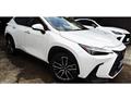 2022 Lexus NX