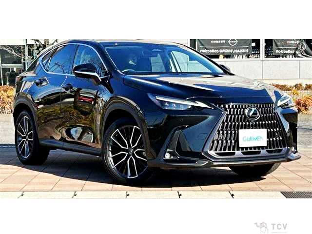 2022 Lexus NX