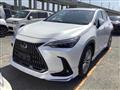 2022 Lexus NX